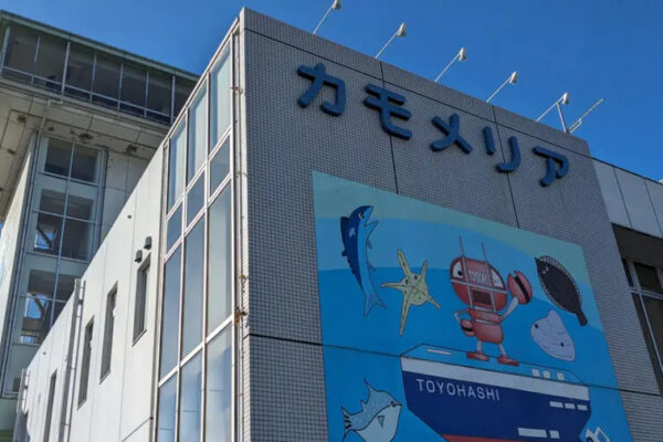 カモメリア