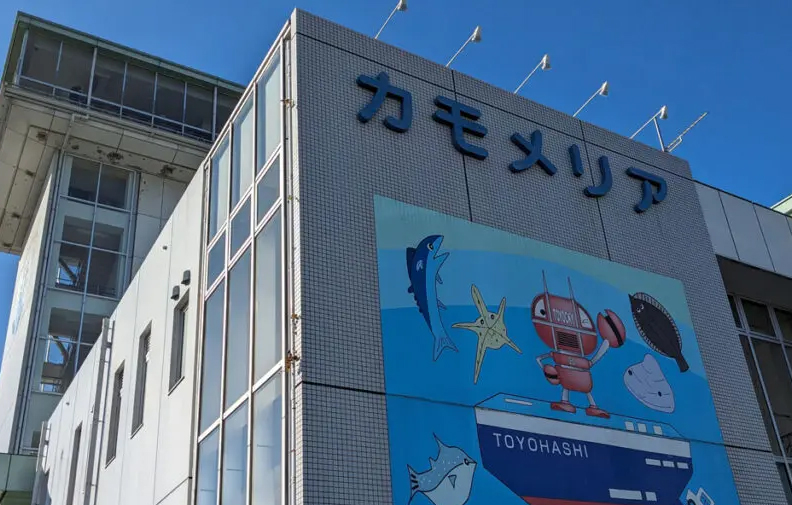 カモメリア