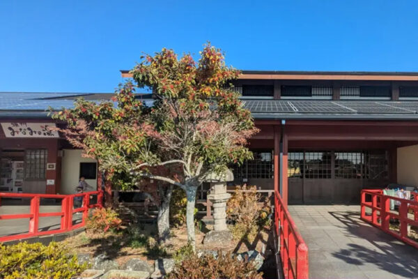 遠州 みなみの湯