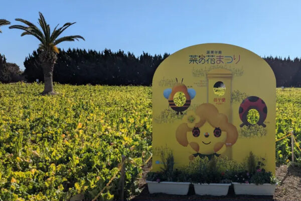 菜の花まつり2025