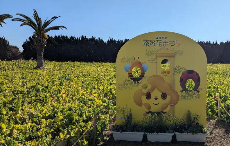 菜の花まつり2025