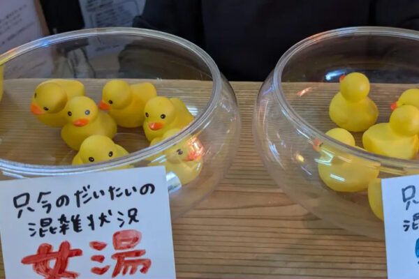 人蔘湯