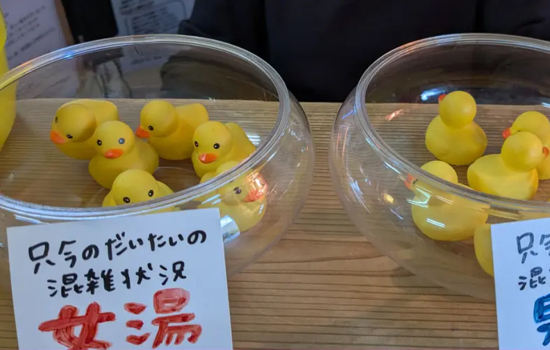 人蔘湯