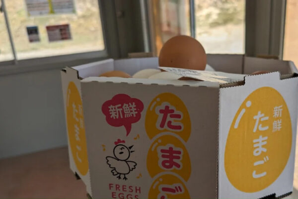 高橋養鶏