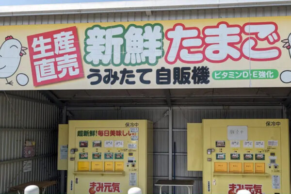 嶋田養鶏 たまご自販機