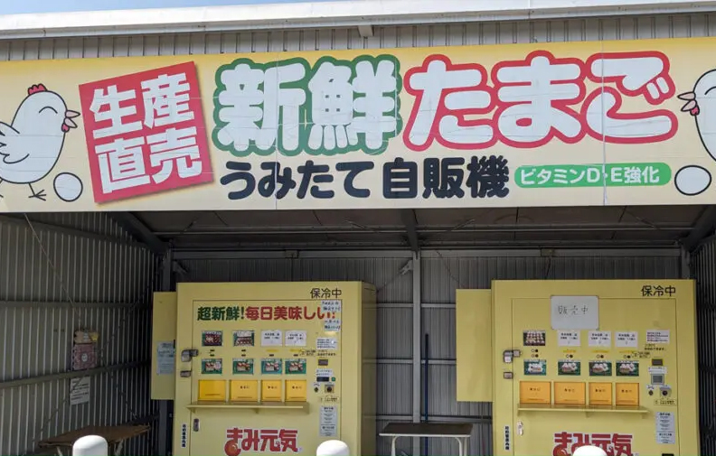 嶋田養鶏 たまご自販機