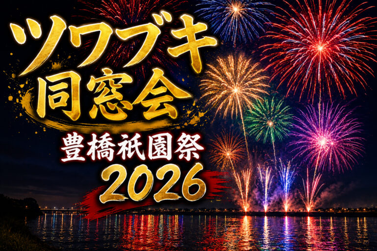 2026 豊橋祇園祭花火大会　ミュージックワイドスターマイン【つよがるガール】