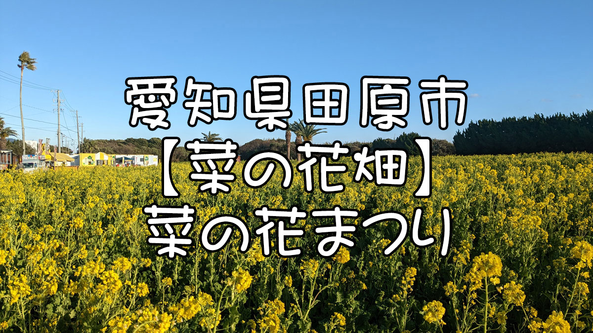 菜の花畑