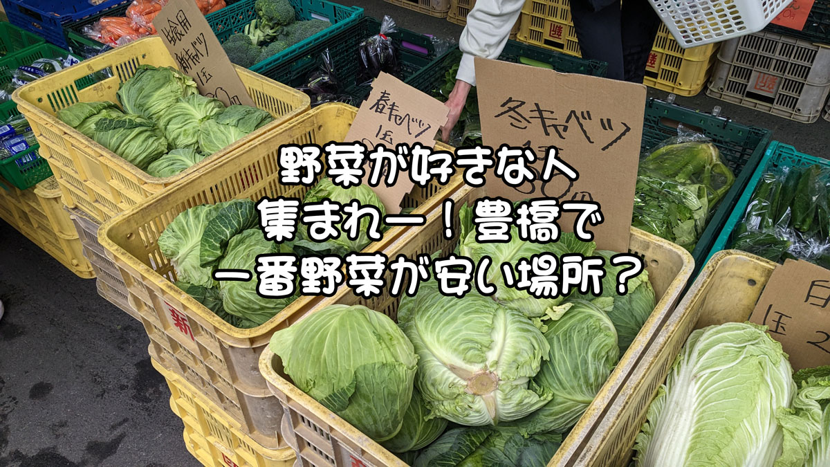 大一青果TOP